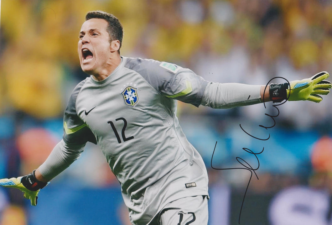 Julio Cesar signed 12x8” Brazil photo