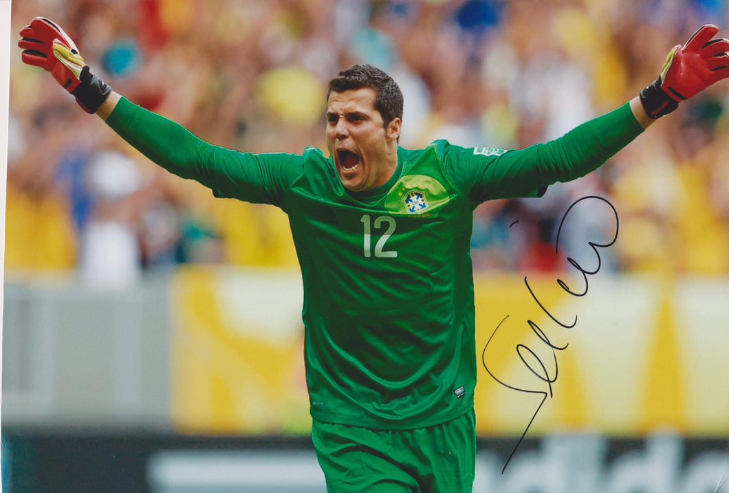 Julio Cesar signed 12x8” Brazil photo